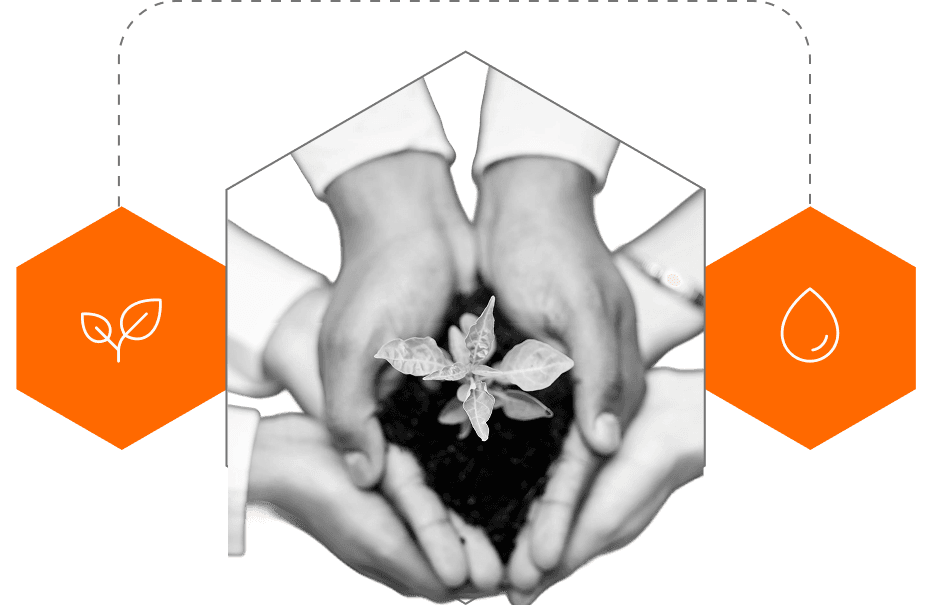 Sustainability Metrics